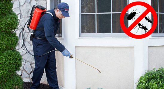 Eskifoça Pire İlaçlama böcek ilaçlama ve haşere kontrolü — ilaclama-tr.com